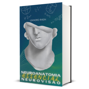 Neuroanatomia neurovisão