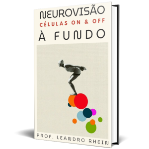 NEUROCIÊNCIAS DA VISÃO E NEUROVISÃO