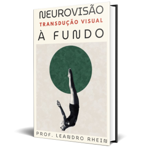 neurovisão teórica e neurociências da visão