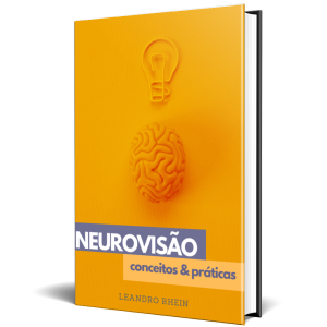 Neurovisão: Conceitos e Práticas