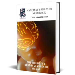 Descubra os segredos da visão dos pequenos neste e-book emocionante! Você já parou para pensar que a visão dos bebês passa por um incrível processo de desenvolvimento? É verdade! No momento em que nascem, nem tudo está pronto. Mas não se preocupe, temos informações valiosas para você. Imagine poder acompanhar a evolução dos olhinhos e da visão desde o útero. Sim, é possível! Neste e-book repleto de conhecimento, vamos te mostrar como você pode estimular e desenvolver adequadamente a função visual dos seus filhos. E tem mais! Sabia que existe uma maneira de proporcionar estímulos visuais que sejam compatíveis com o estágio de desenvolvimento visual do seu bebê? É uma forma incrível de garantir que eles recebam estímulos adequados para o seu crescimento. Com 45 páginas repletas de conteúdo envolvente, este e-book foi cuidadosamente elaborado para pais e profissionais interessados em entender e acompanhar o desenvolvimento visual das crianças. E não se esqueça dos nossos bônus especiais, que vão te surpreender! Prepare-se para desvendar os segredos da visão dos pequenos e descobrir como contribuir para seu crescimento visual saudável. Garan